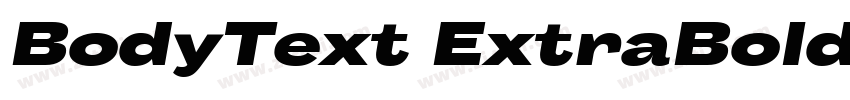 BodyText ExtraBoldIt字体转换